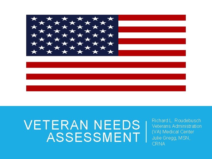 VETERAN NEEDS ASSESSMENT Richard L. Roudebusch Veterans Administration (VA) Medical Center Julie Gregg, MSN,