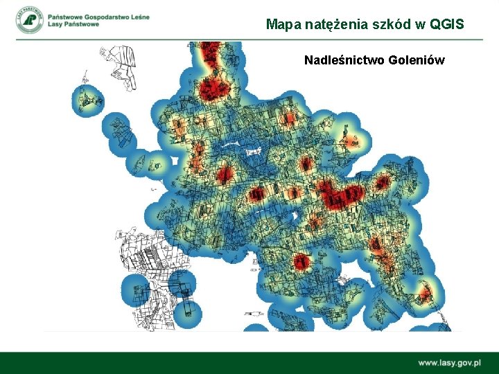 Mapa natężenia szkód w QGIS Nadleśnictwo Goleniów 