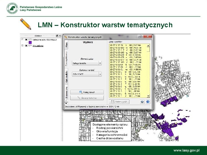 LMN – Konstruktor warstw tematycznych Dostępne elementy opisu: - Rodzaj powierzchni - Głowna funkcja