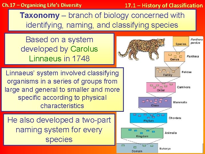 Ch. 17 – Organizing Life’s Diversity 17. 1 – History of Classification Taxonomy –