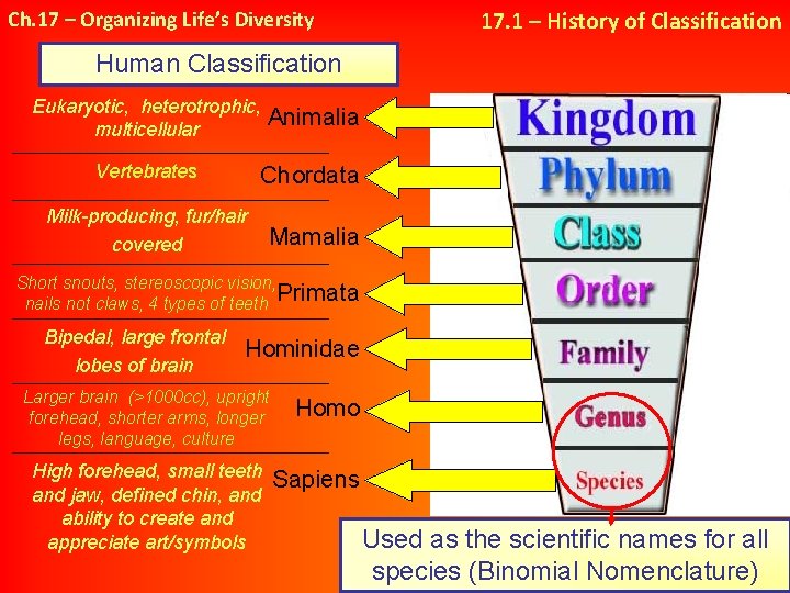 Ch. 17 – Organizing Life’s Diversity 17. 1 – History of Classification Human Classification