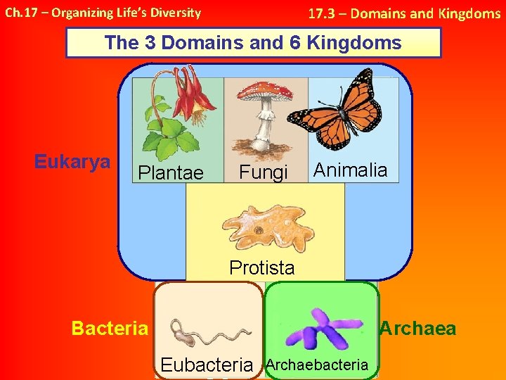 17. 3 – Domains and Kingdoms Ch. 17 – Organizing Life’s Diversity The 3