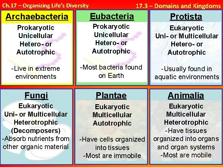 17. 3 – Domains and Kingdoms Ch. 17 – Organizing Life’s Diversity Archaebacteria Eubacteria