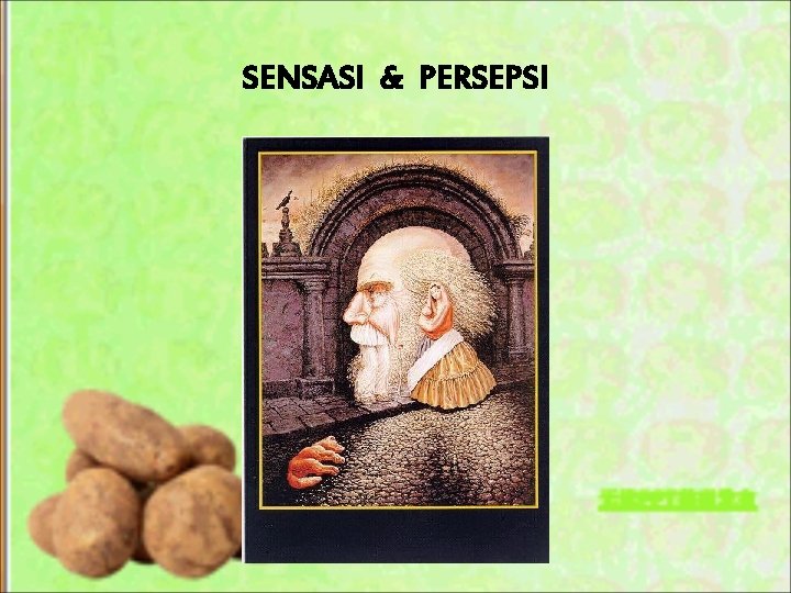 SENSASI & PERSEPSI 