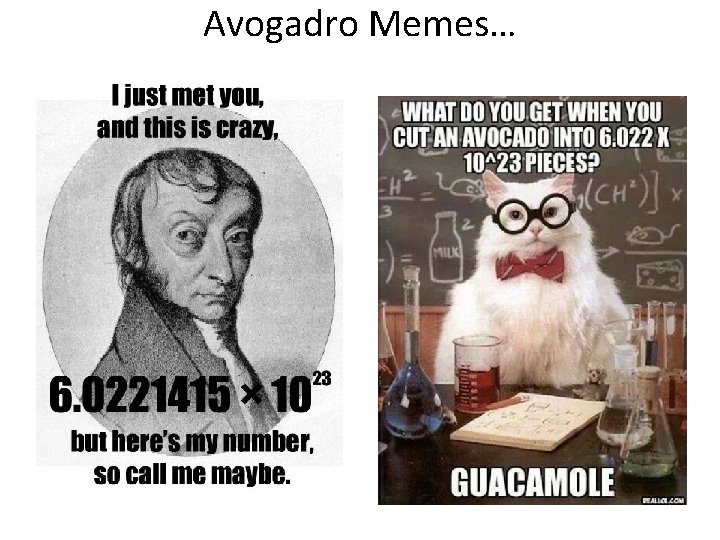 Avogadro Memes… 