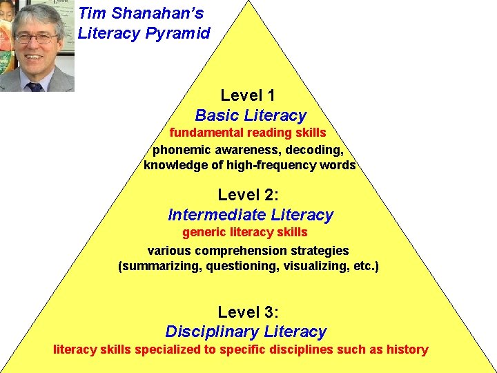 Tim Shanahan’s Literacy Pyramid Level 1 Basic Literacy fundamental reading skills phonemic awareness, decoding, Tim Shanahan’s Literacy Pyramid Level 1 Basic Literacy fundamental reading skills phonemic awareness, decoding,