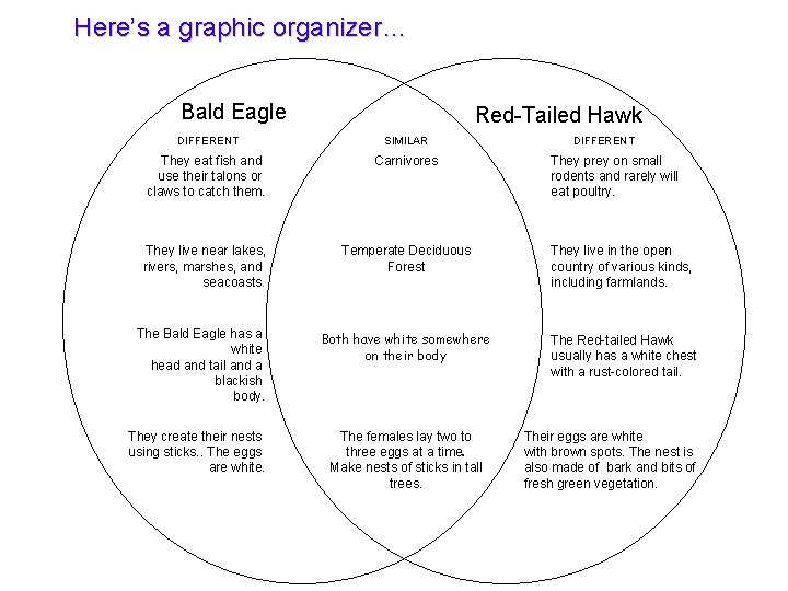 Here’s a graphic organizer… Bald Eagle Red-Tailed Hawk DIFFERENT SIMILAR They eat fish and Here’s a graphic organizer… Bald Eagle Red-Tailed Hawk DIFFERENT SIMILAR They eat fish and