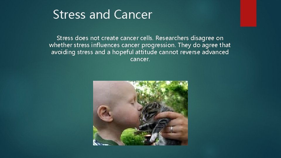 Stress and Cancer Stress does not create cancer cells. Researchers disagree on whether stress