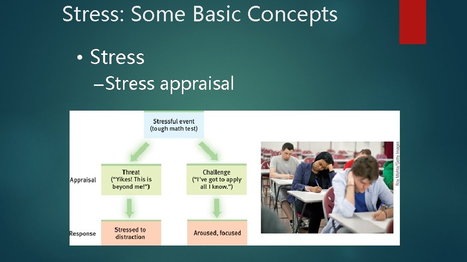 Stress: Some Basic Concepts • Stress – Stress appraisal 