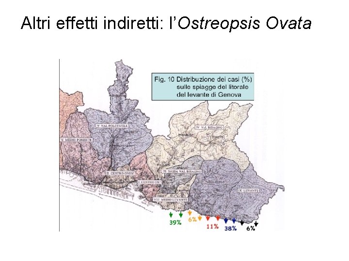 Altri effetti indiretti: l’Ostreopsis Ovata 