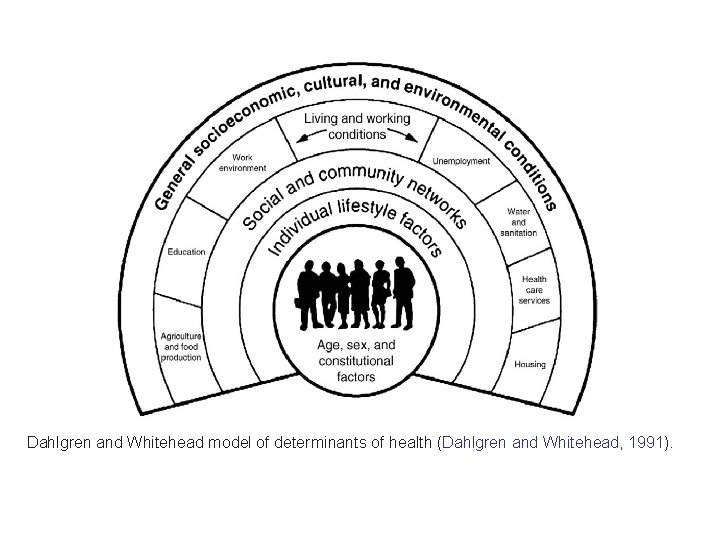 Dahlgren and Whitehead model of determinants of health (Dahlgren and Whitehead, 1991). 