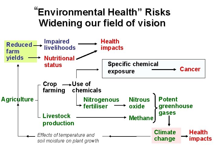 “Environmental Health” Risks Widening our field of vision Reduced farm yields Impaired livelihoods Health