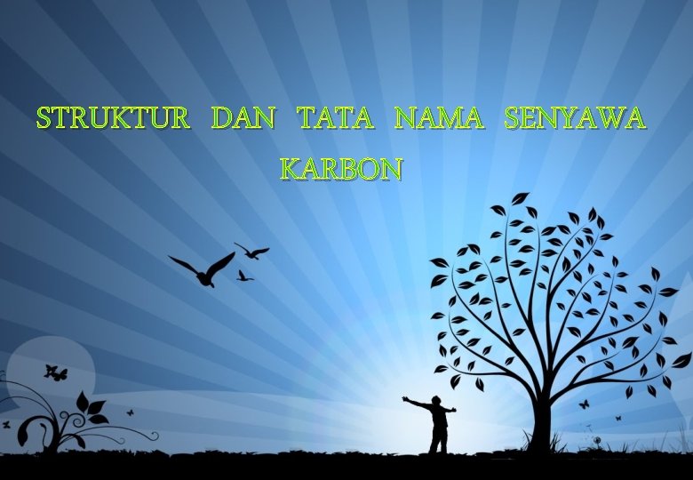 STRUKTUR DAN TATA NAMA SENYAWA KARBON 