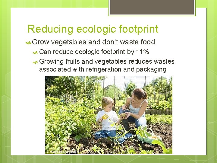 Reducing ecologic footprint Grow Can vegetables and don’t waste food reduce ecologic footprint by