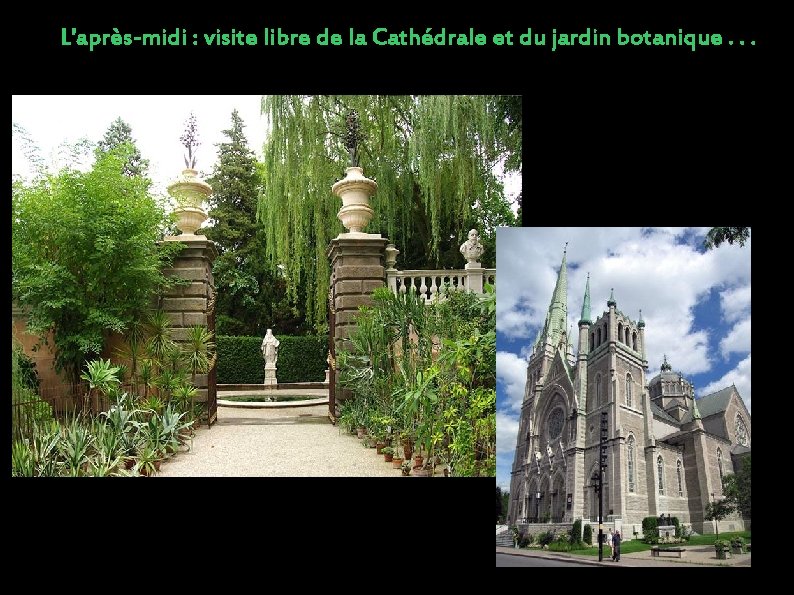 L'après-midi : visite libre de la Cathédrale et du jardin botanique. . . 