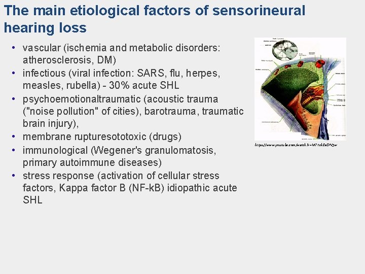 The main etiological factors of sensorineural hearing loss • vascular (ischemia and metabolic disorders: