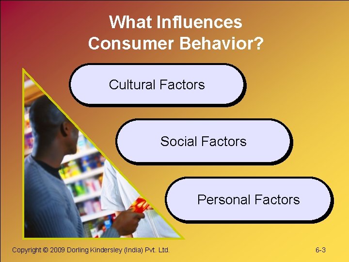 What Influences Consumer Behavior? Cultural Factors Social Factors Personal Factors Copyright © 2009 Dorling