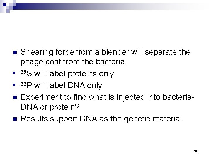n n n Shearing force from a blender will separate the phage coat from