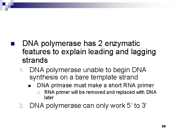 n DNA polymerase has 2 enzymatic features to explain leading and lagging strands 1.