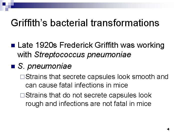 Griffith’s bacterial transformations Late 1920 s Frederick Griffith was working with Streptococcus pneumoniae n