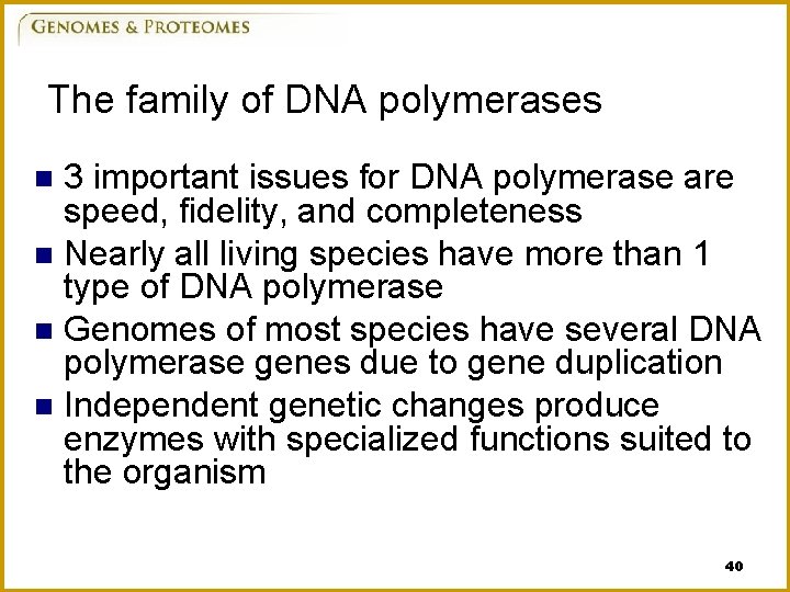 The family of DNA polymerases 3 important issues for DNA polymerase are speed, fidelity,