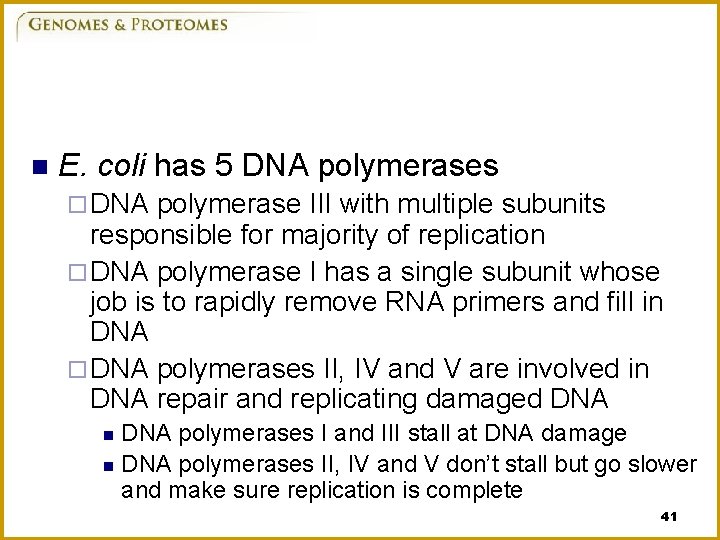 n E. coli has 5 DNA polymerases ¨ DNA polymerase III with multiple subunits