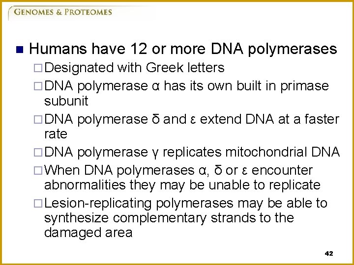 n Humans have 12 or more DNA polymerases ¨ Designated with Greek letters ¨