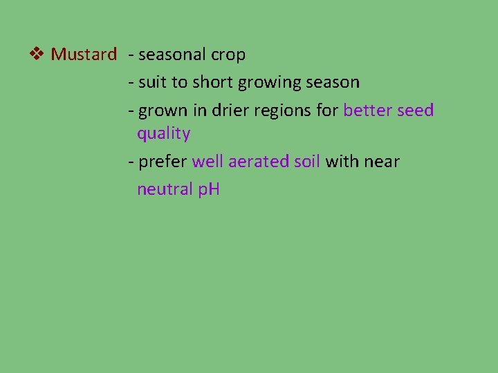 v Mustard - seasonal crop - suit to short growing season - grown in