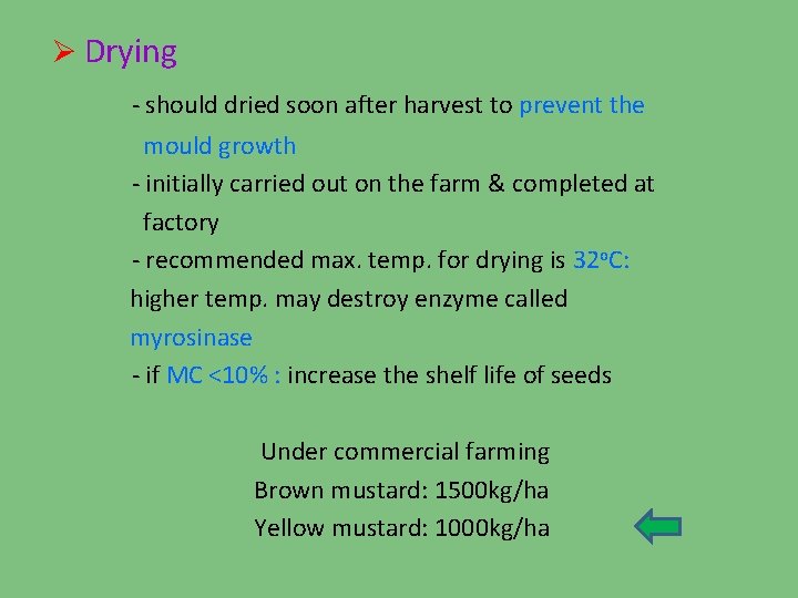 Ø Drying - should dried soon after harvest to prevent the mould growth -