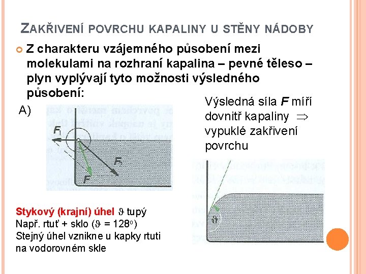 ZAKŘIVENÍ POVRCHU KAPALINY U STĚNY NÁDOBY Z charakteru vzájemného působení mezi molekulami na rozhraní