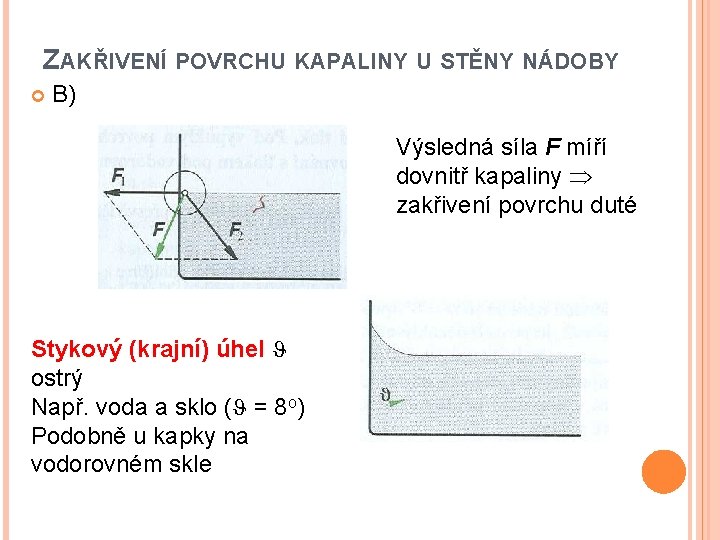 ZAKŘIVENÍ POVRCHU KAPALINY U STĚNY NÁDOBY B) Výsledná síla F míří dovnitř kapaliny zakřivení