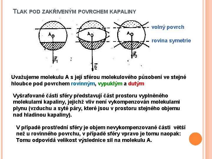 TLAK POD ZAKŘIVENÝM POVRCHEM KAPALINY volný povrch rovina symetrie 3 1 2 Uvažujeme molekulu