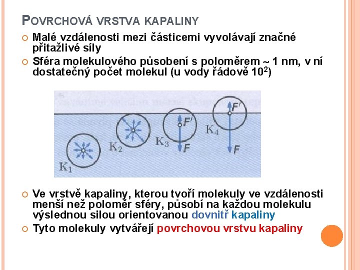 POVRCHOVÁ VRSTVA KAPALINY Malé vzdálenosti mezi částicemi vyvolávají značné přitažlivé síly Sféra molekulového působení