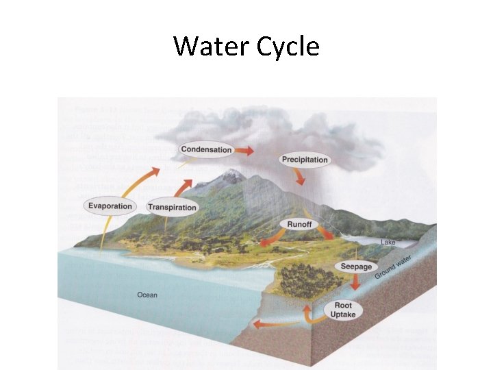 Water Cycle 