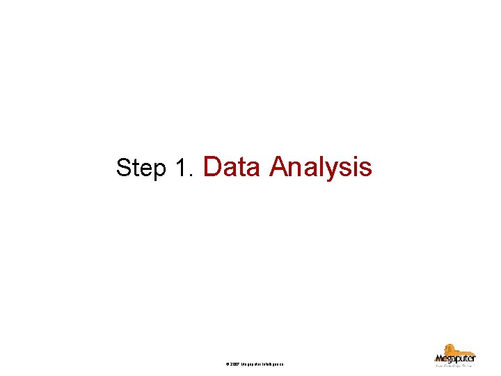 Step 1. Data Analysis © 2007 Megaputer Intelligence 