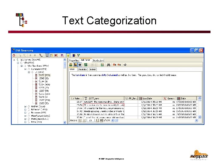 Text Categorization © 2007 Megaputer Intelligence 