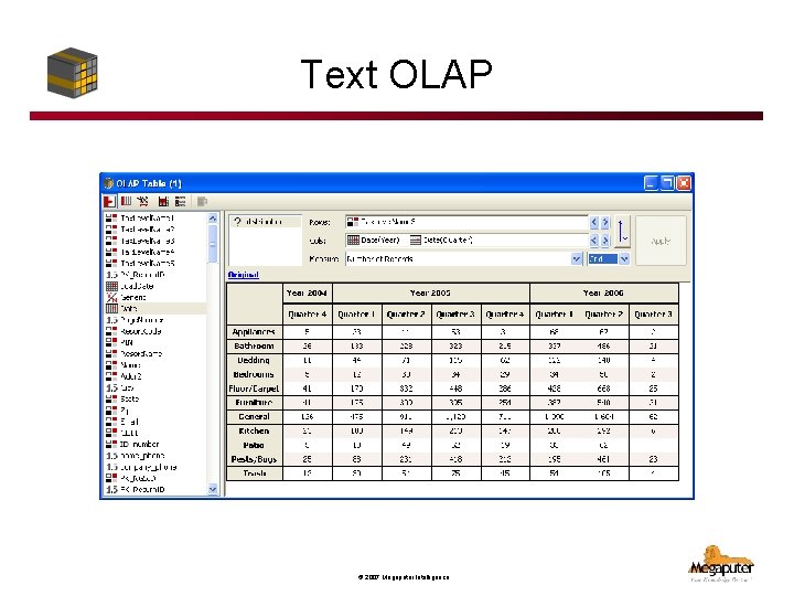 Text OLAP © 2007 Megaputer Intelligence 