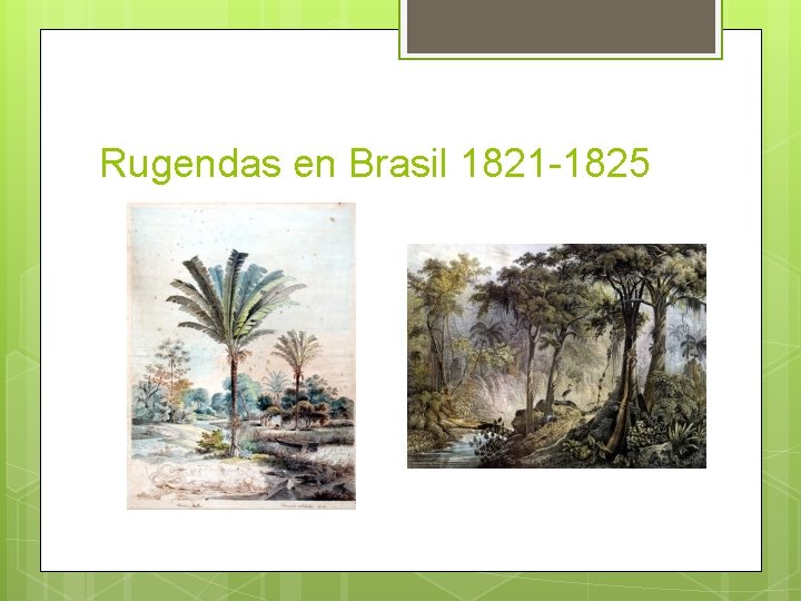 Rugendas en Brasil 1821 -1825 