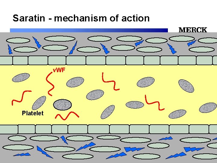 Saratin - mechanism of action v. WF 12/24/2021 Platelet 12/24/2021 Biomedical R&D Folie (slide)