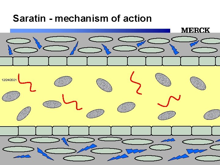 Saratin - mechanism of action 12/24/2021 Biomedical R&D Folie (slide) 10 