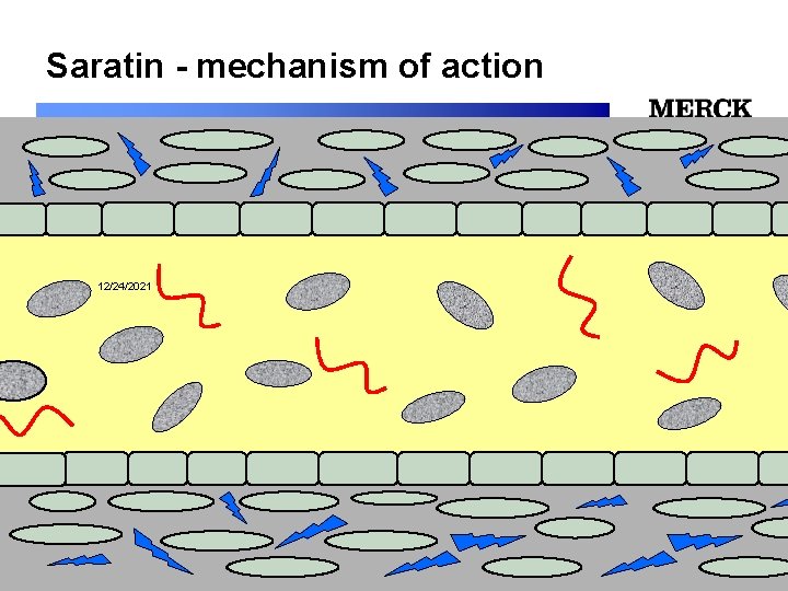 Saratin - mechanism of action 12/24/2021 Biomedical R&D Folie (slide) 11 