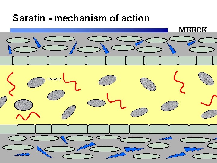 Saratin - mechanism of action 12/24/2021 Biomedical R&D Folie (slide) 12 