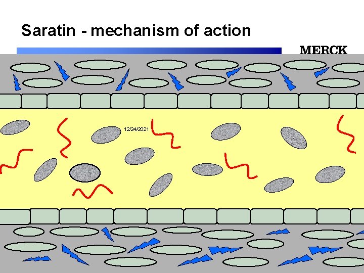 Saratin - mechanism of action 12/24/2021 Biomedical R&D Folie (slide) 13 