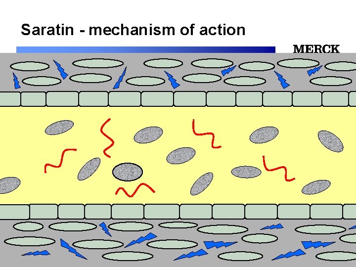 Saratin - mechanism of action 12/24/2021 Biomedical R&D Folie (slide) 15 