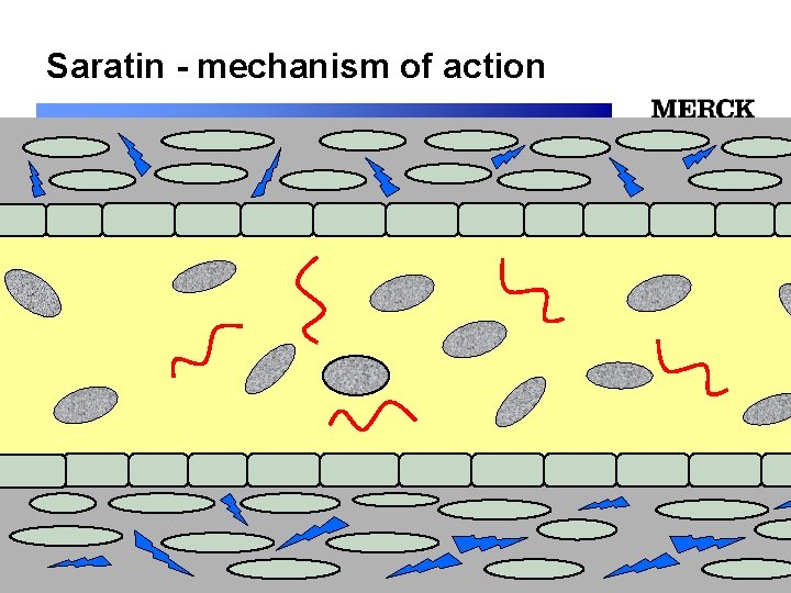 Saratin - mechanism of action 12/24/2021 Biomedical R&D Folie (slide) 16 