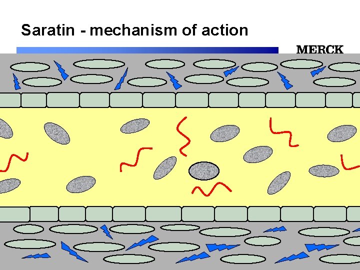 Saratin - mechanism of action 12/24/2021 Biomedical R&D Folie (slide) 17 