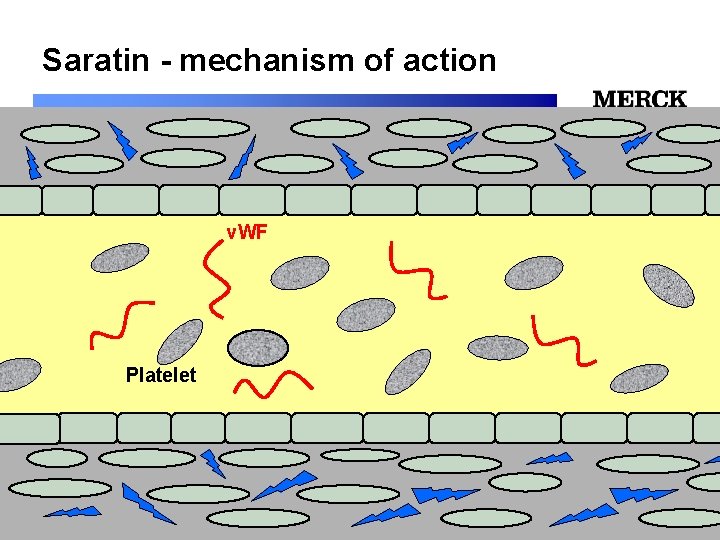 Saratin - mechanism of action v. WF 12/24/2021 Platelet 12/24/2021 Biomedical R&D Folie (slide)