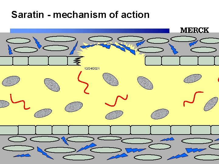 Saratin - mechanism of action 12/24/2021 Biomedical R&D Folie (slide) 21 