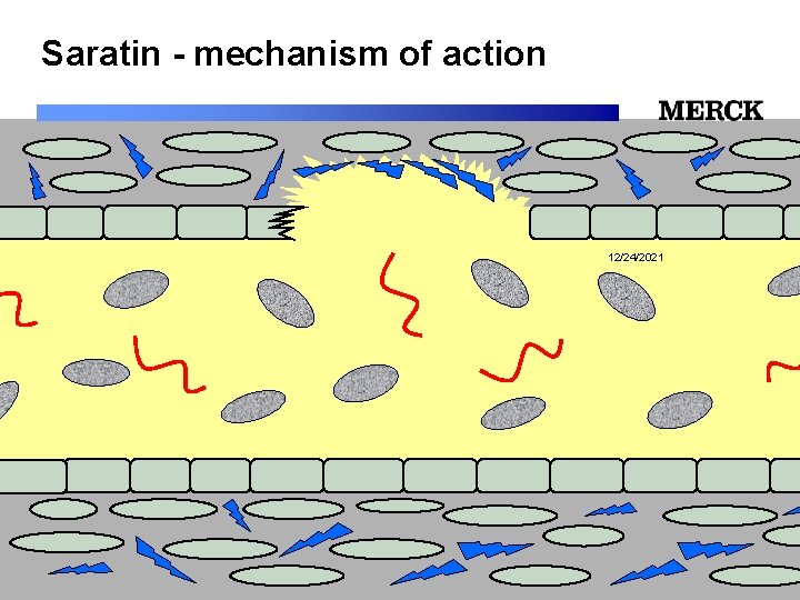 Saratin - mechanism of action 12/24/2021 Biomedical R&D Folie (slide) 22 
