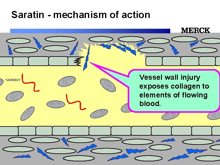 Saratin - mechanism of action 12/24/2021 Vessel wall injury exposes collagen to elements of
